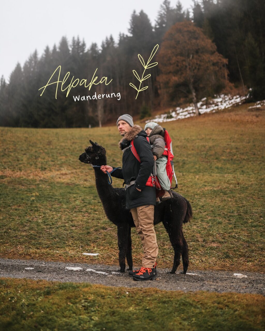 Instagram post from ourtravelness. This post is in position 4.